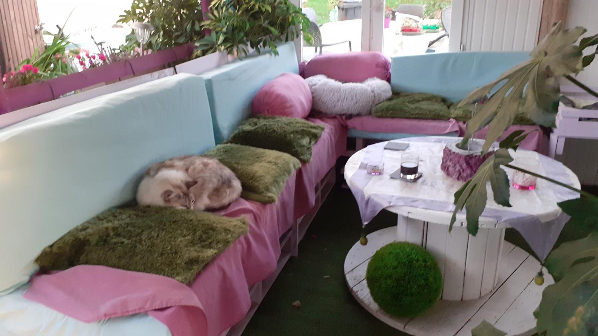 Bed & Breakfast O'jardin *