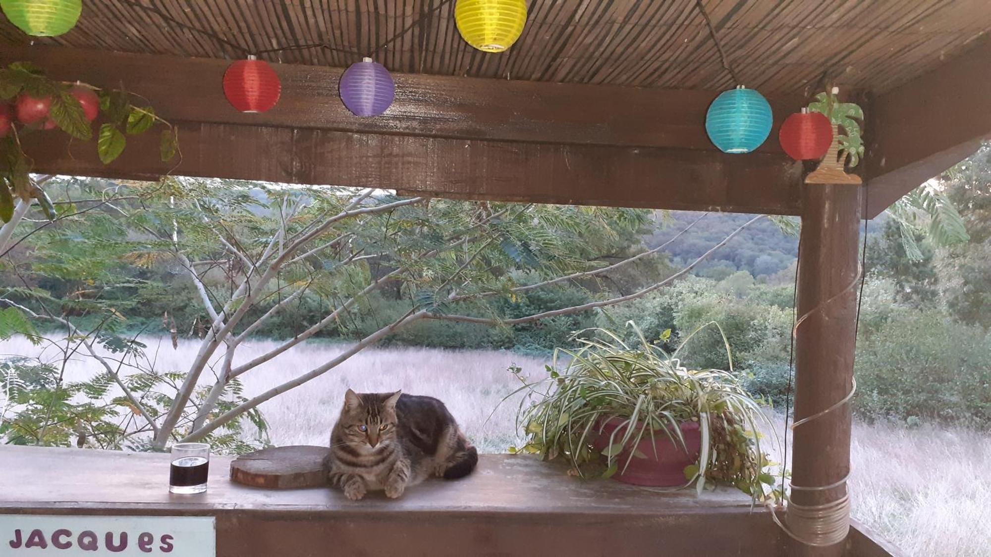 Bed & Breakfast O'jardin